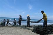 responsible shrimp culture improvement
