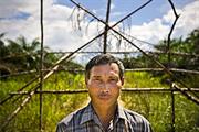 stop landgrabbing, now!