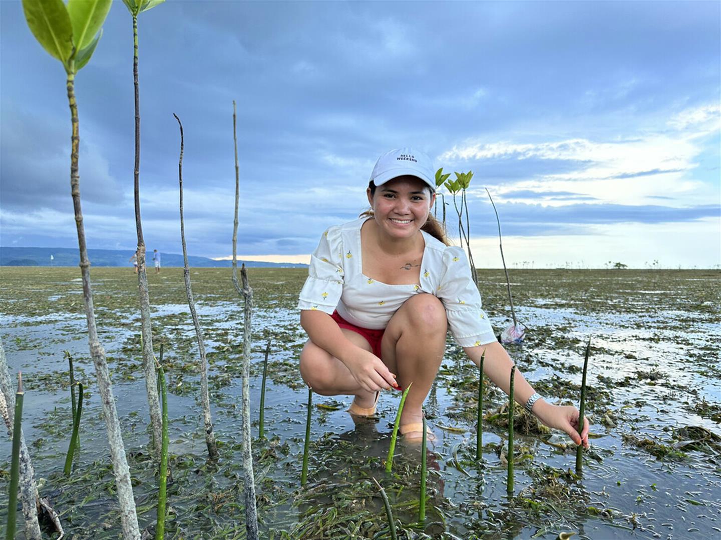 Klimaatactivist Marinel houdt een mangroveboompje vast