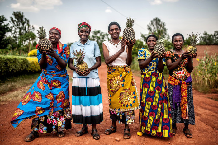 Woman pineapple farmers in Eastern Rwanda, Kirehe District.