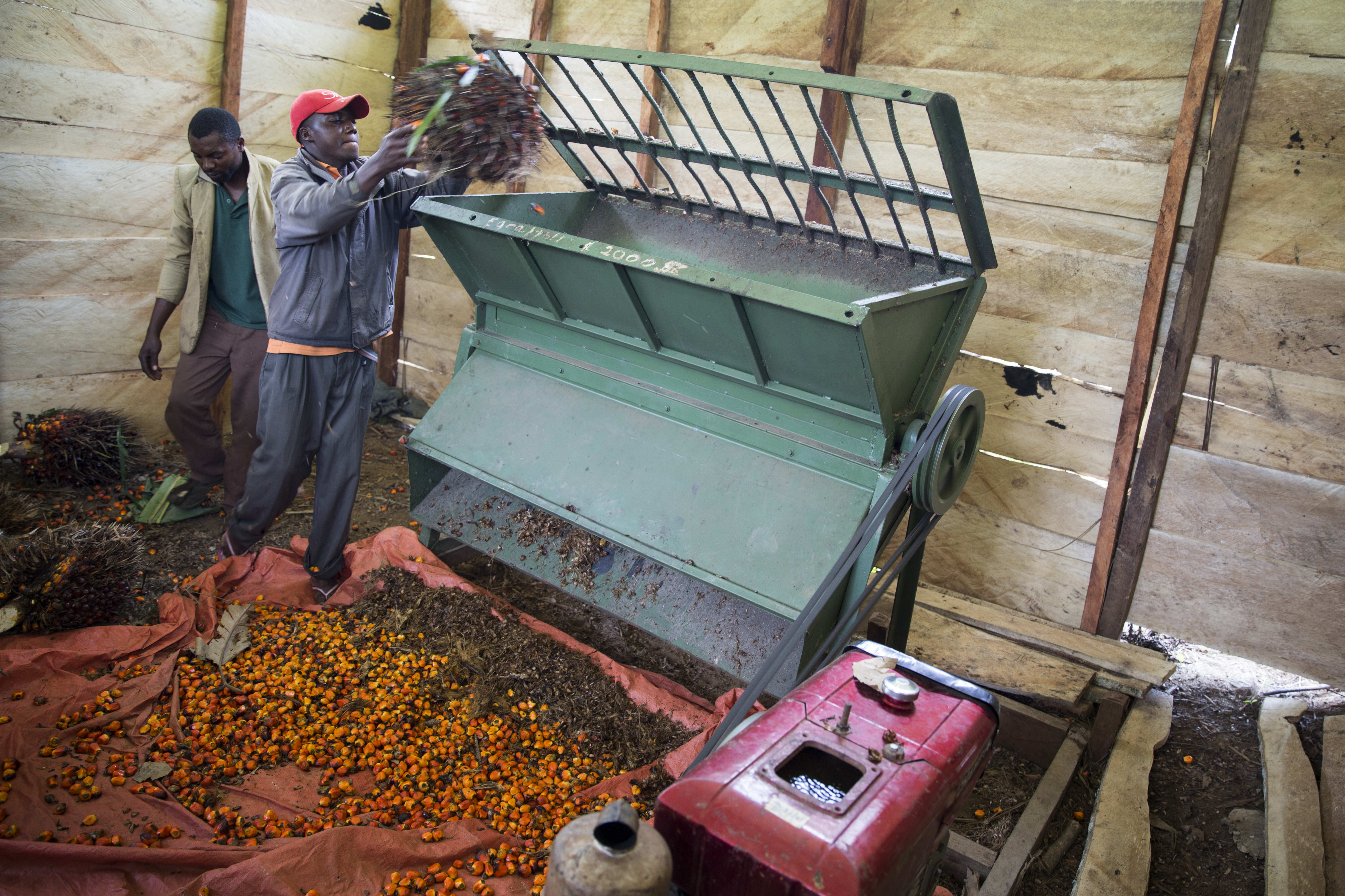 palmolie duurzaam alternatief