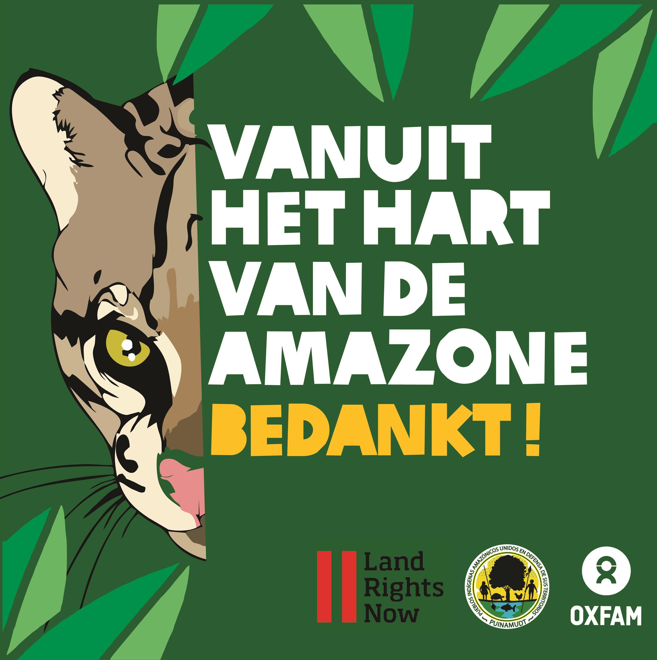 2017 quechua landrechten gerespecteerd