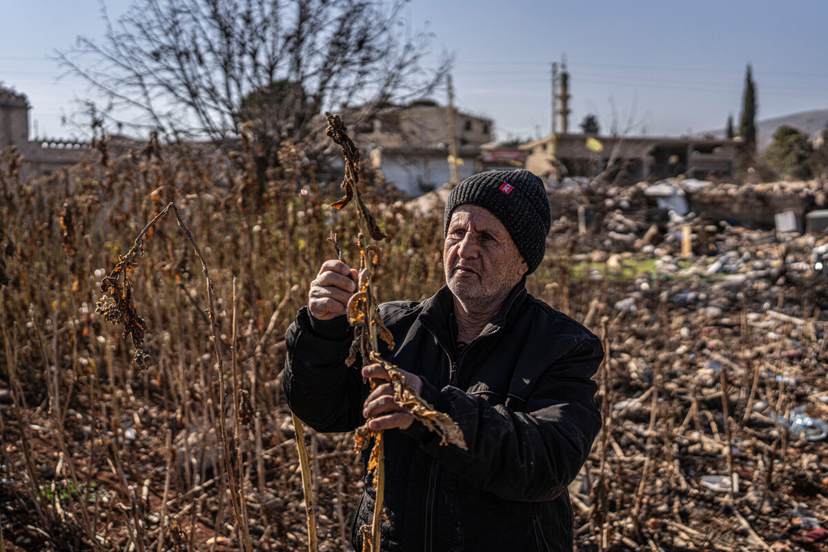 2025, Libanon - Hassan Ahmed Chamas verbouwt tabak, luchtaanval Israel verwoestte zijn huis