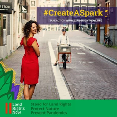 Actieweek LRN Create a spark