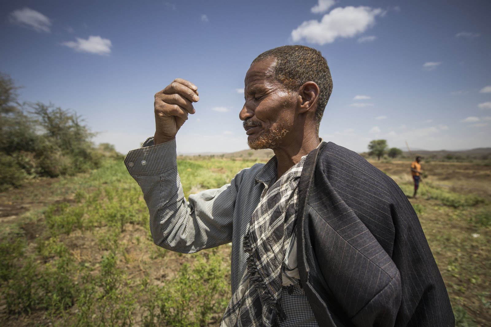 Achmed sprinkhanenplaag ethiopie - jaarverslag 