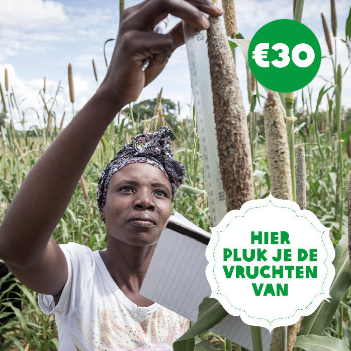 Klimaattraining