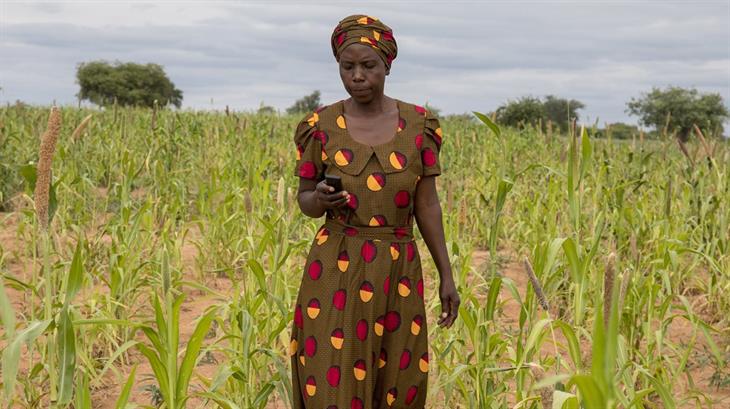 Zimbabwaanse boerin Sfiso loopt met haar telefoon over het veld