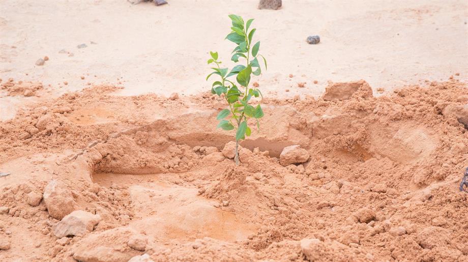 Klimaatheld Kiara Garba