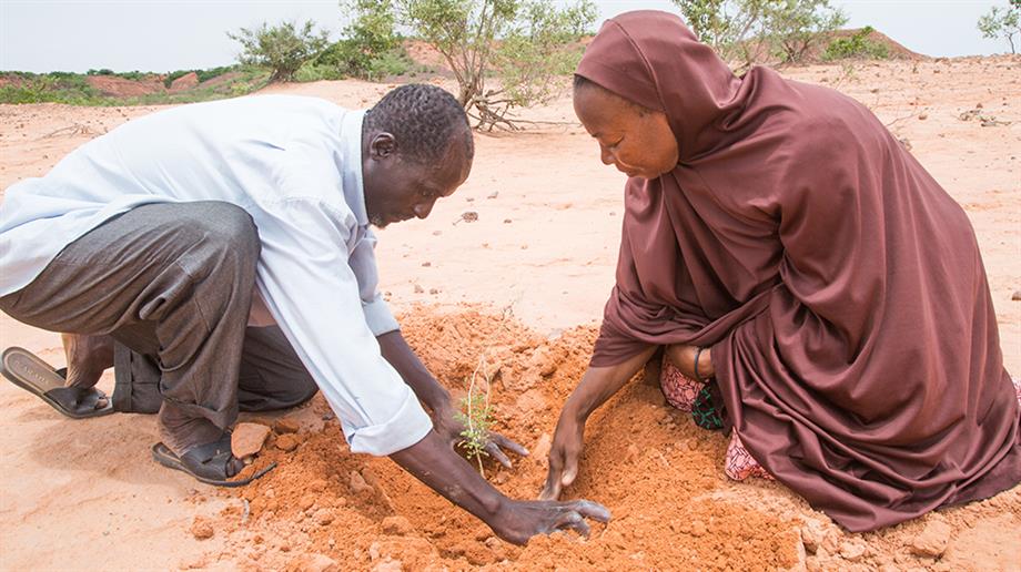 Activisten planten bomen op een kale vlakte
