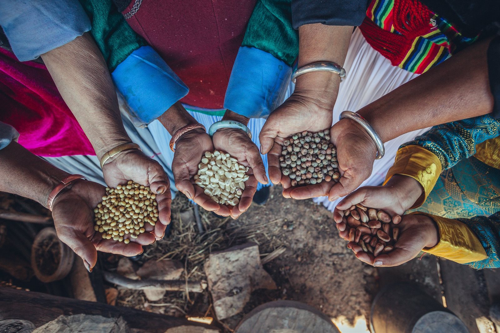 Diversified seeds in Youmi village, Lijiang, Yunnan, SW China by Qiubi.jpg