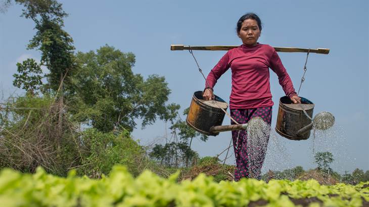 Oxfam Novib werkt in Cambodja