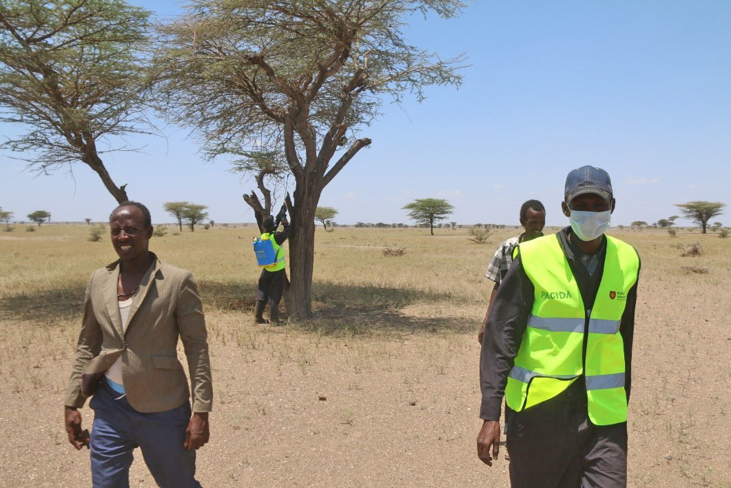 Kenia - sprinkhanenplaag bestrijdingsteam