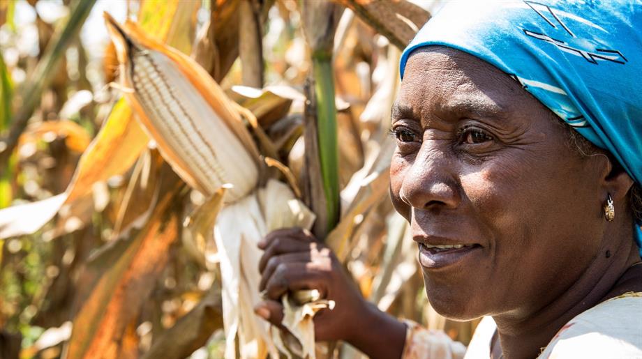 Oxfam Novib microkrediet en microfinanciering