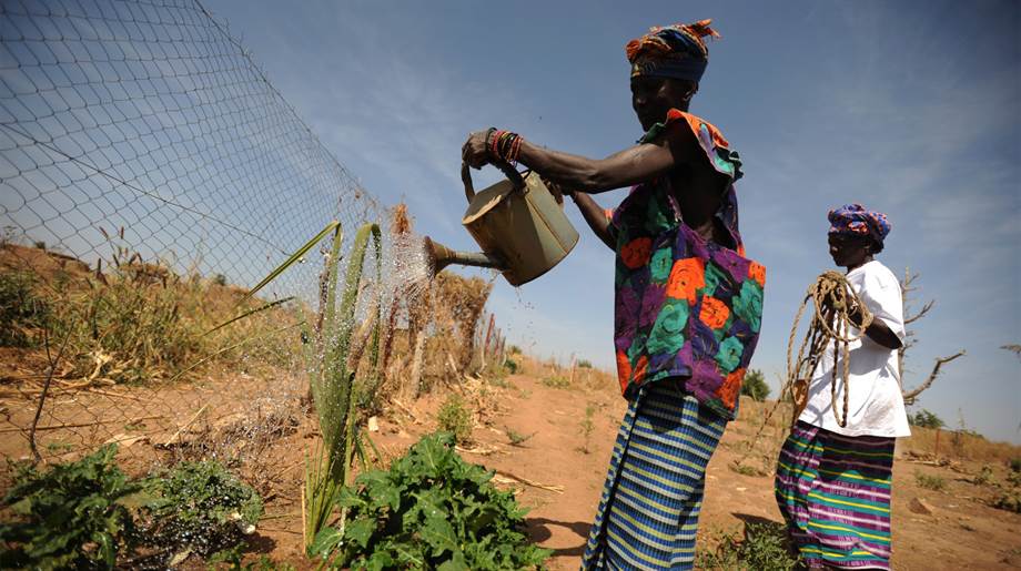 Klimaatverandering maakt het boeren steeds moeilijker.
