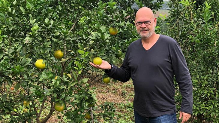 Henri Bosman - Cohesion