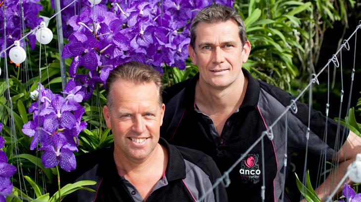 Steef van Adrichem - Anco pure Vanda