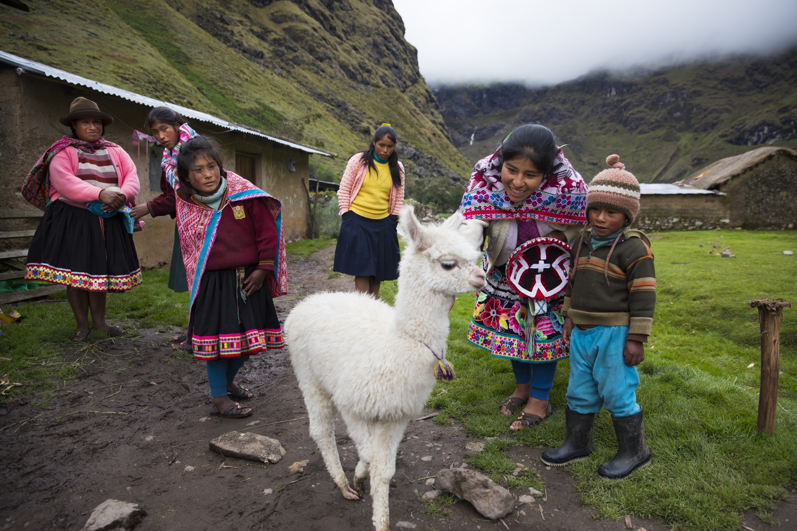 Oxfam Novib Seeds Peru alpaca
