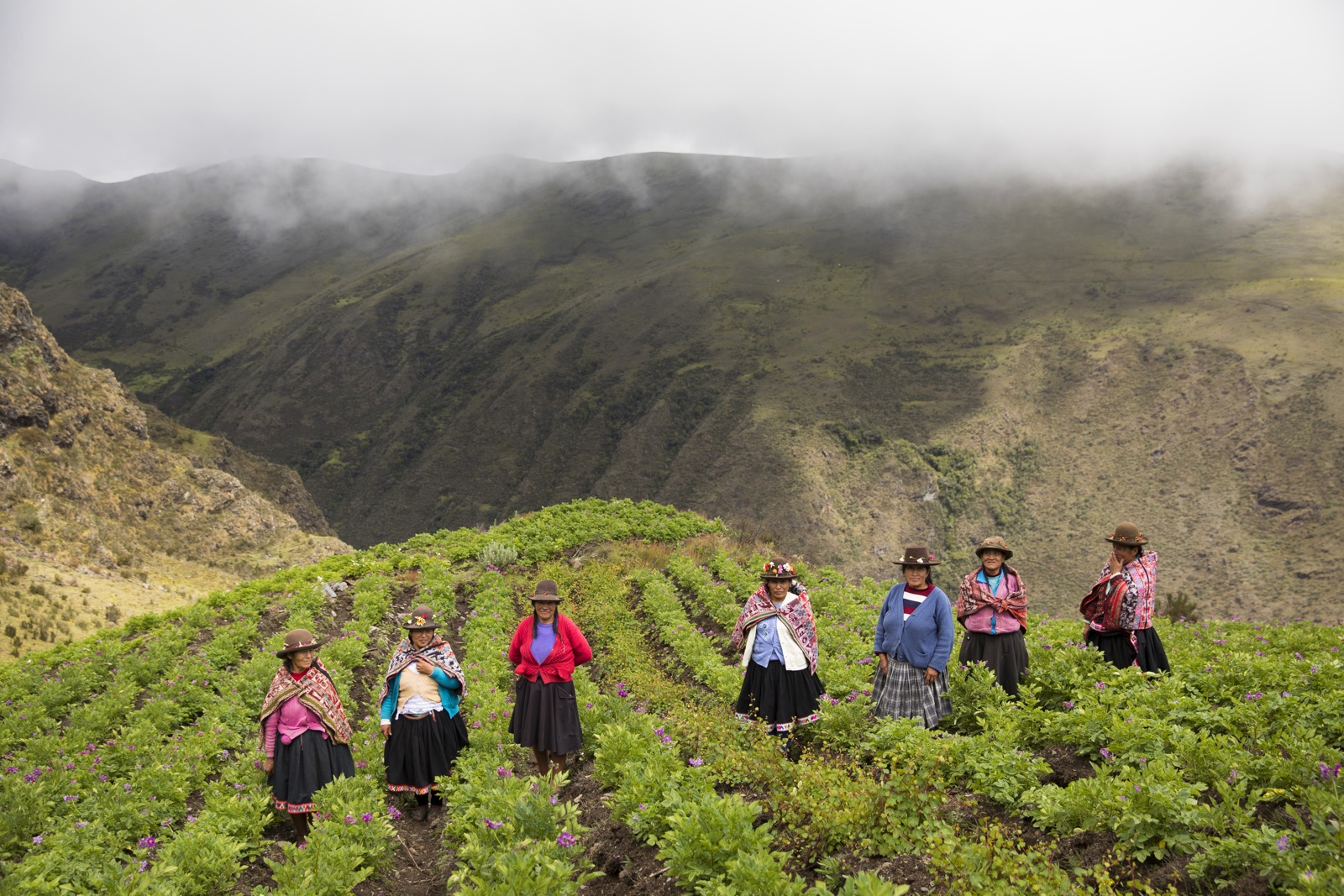 Oxfam Novib Seeds Peru vrouwen op aardappelveld