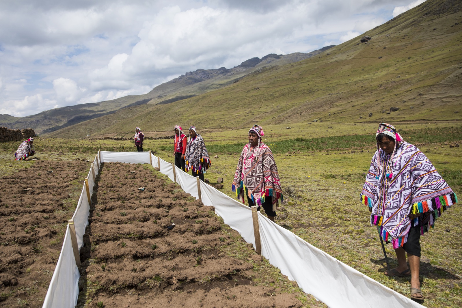 Oxfam Novib Seeds Peru zaaien