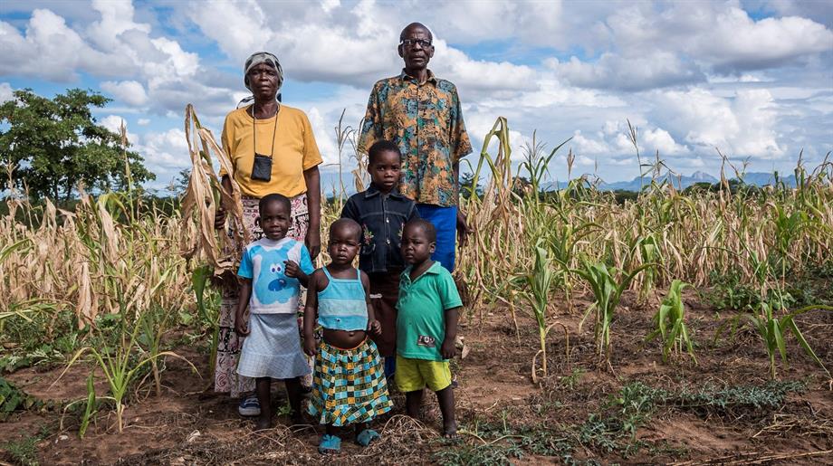 Farmer field school Zimbabwe