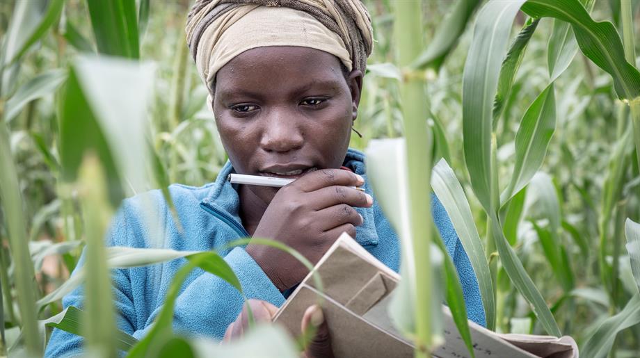 Oxfam Novib boeren verslaan honger met eigen zaden
