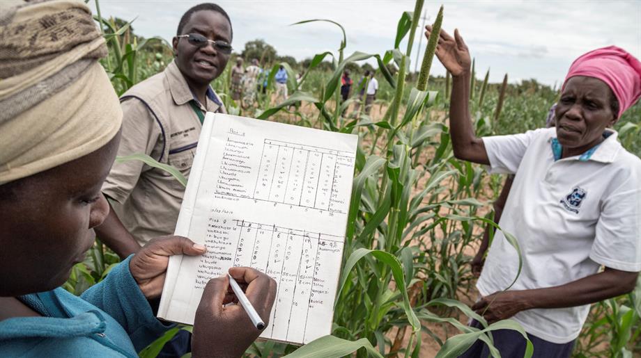 Oxfam Novib boeren verslaan honger met eigen zaden