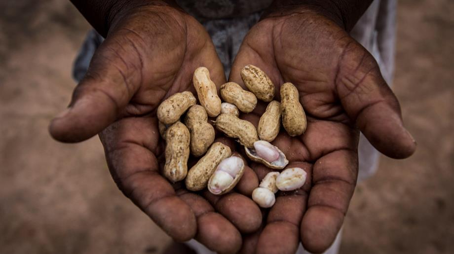 Oxfam Novib steunt boeren tegen klimaatverandering