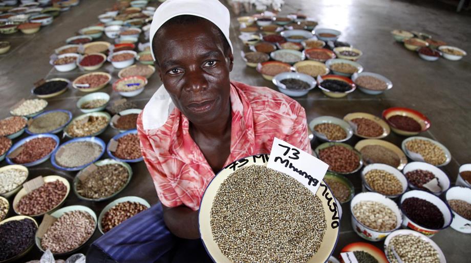 Oxfam Novib boeren verslaan honger met eigen zaden