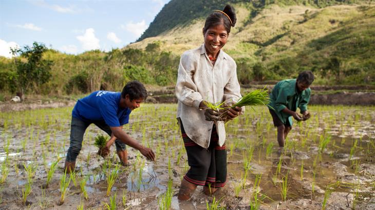 Microfinanciering door Oxfam Novib hielp Aber