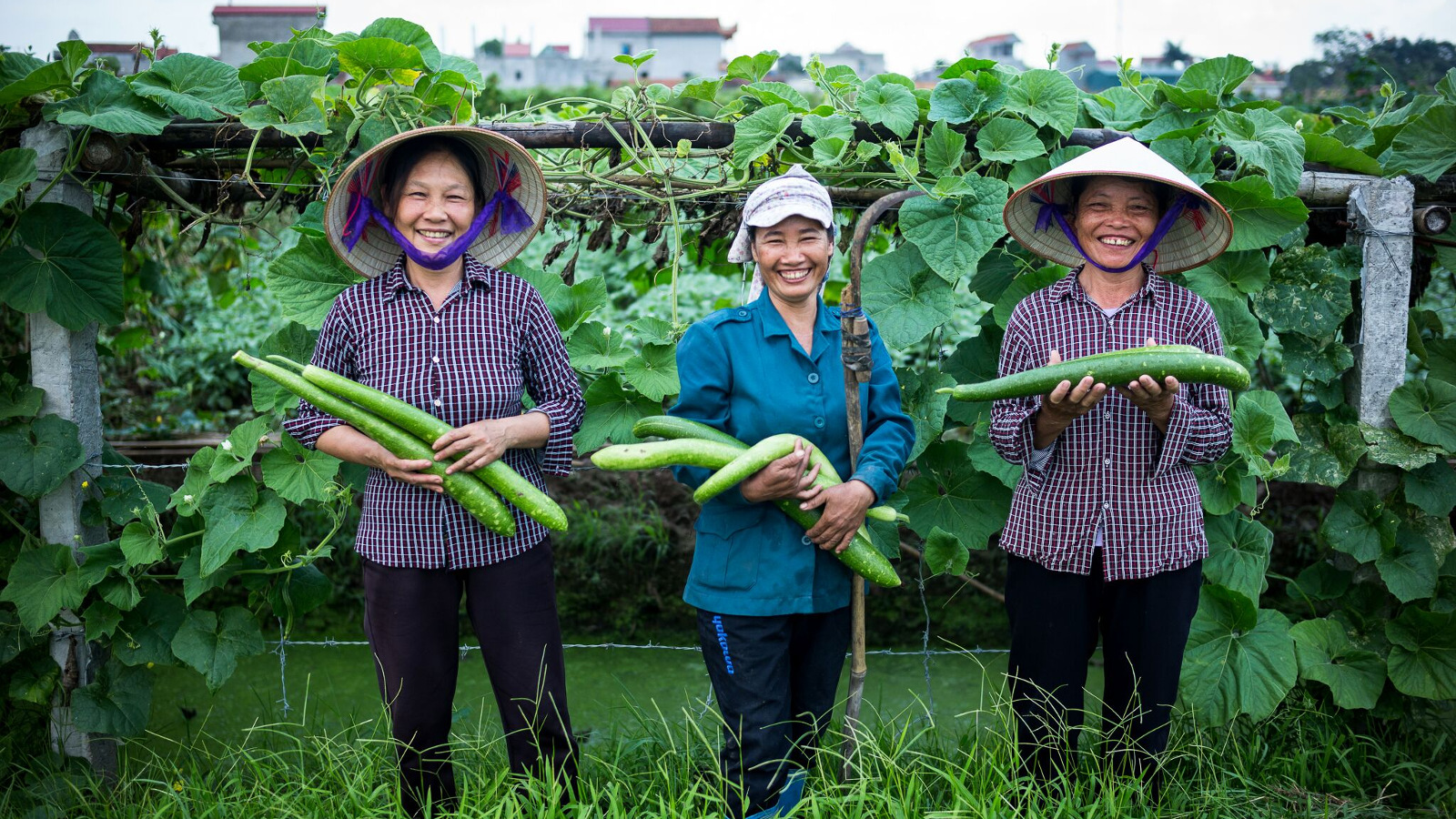 OxfamNovib-microfinanciering-Vinh Ha Co