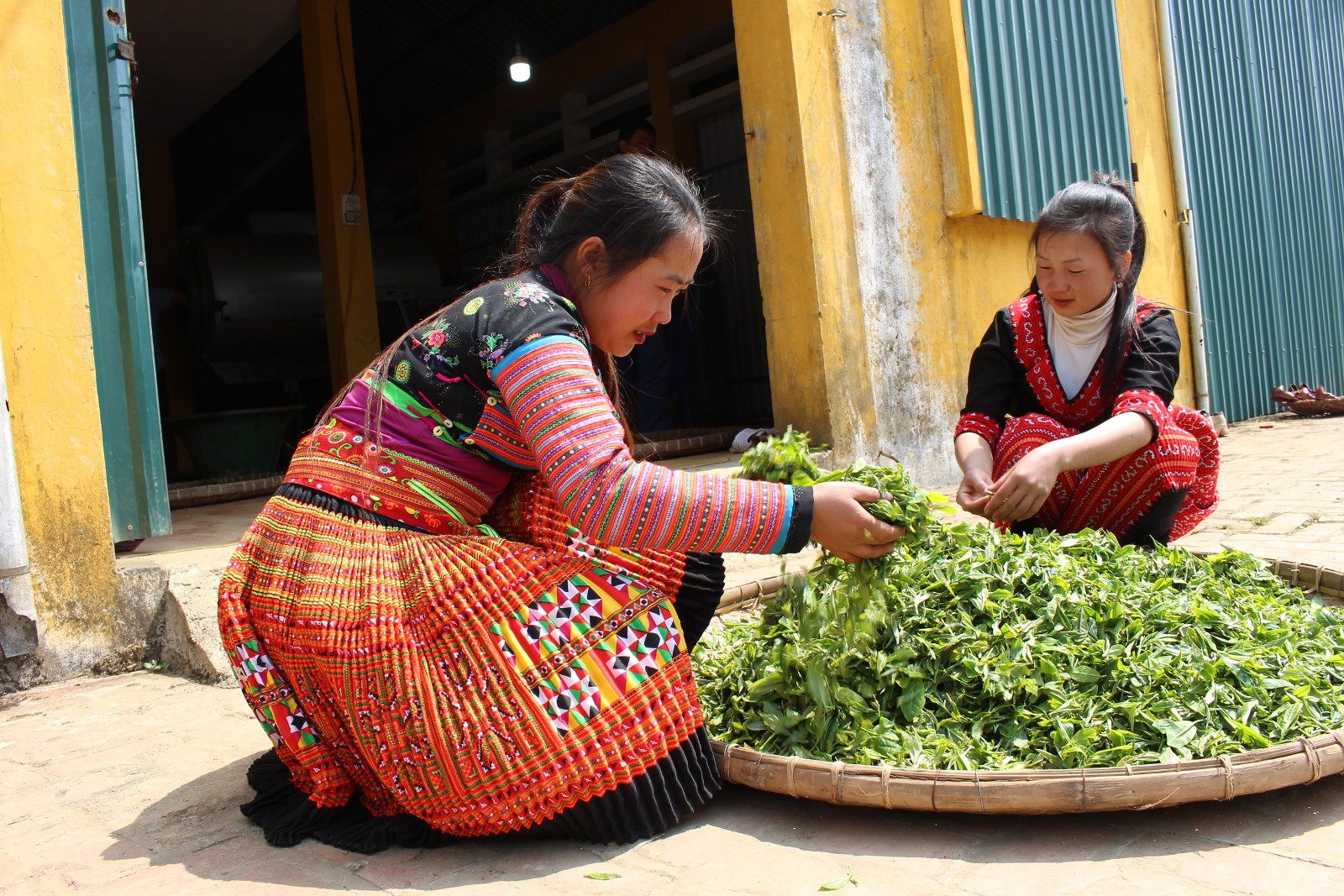 OxfamNovib-ondernemers-voor-ondernemers-microfinanciering-Tham-Vietnam-MG_7544