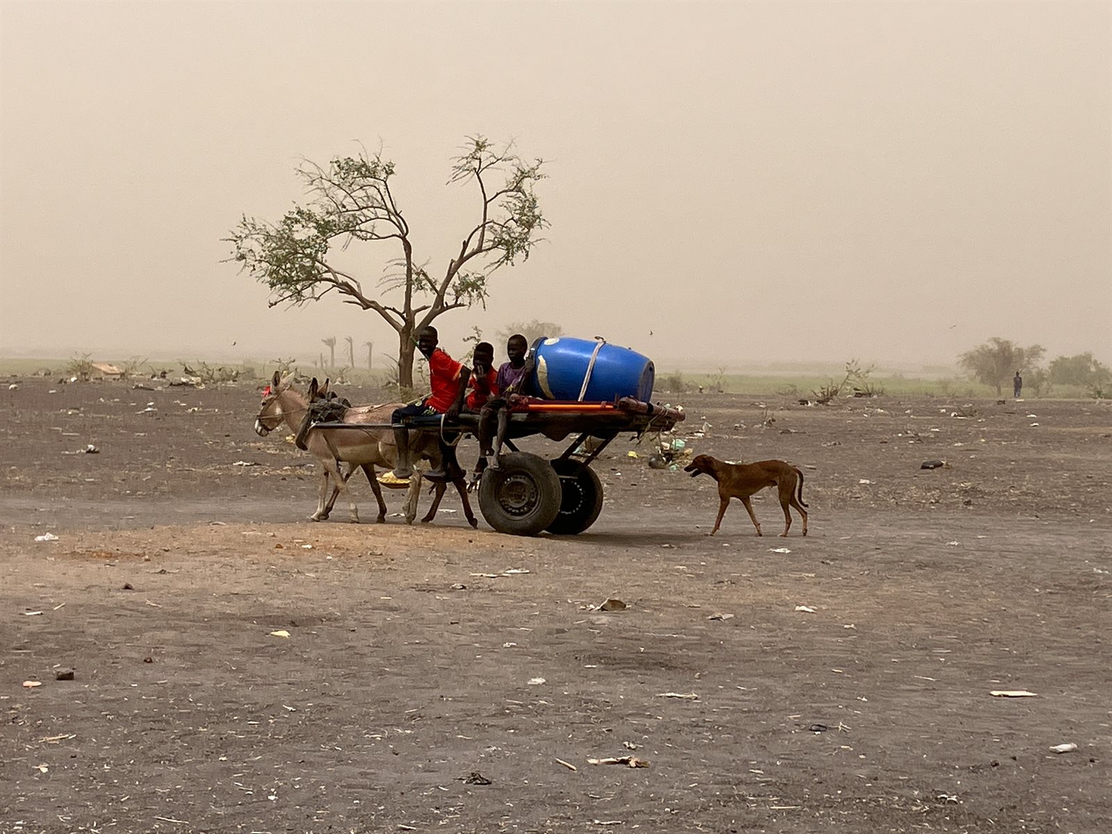 Renk Zuid-Sudan droogte.jpg