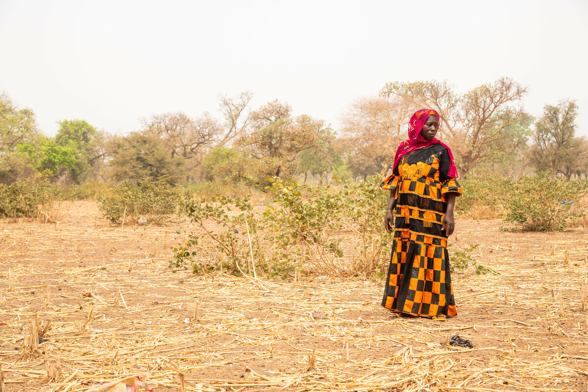 Sanfo Ramata uit Burkina Faso verliest vee door de droogte