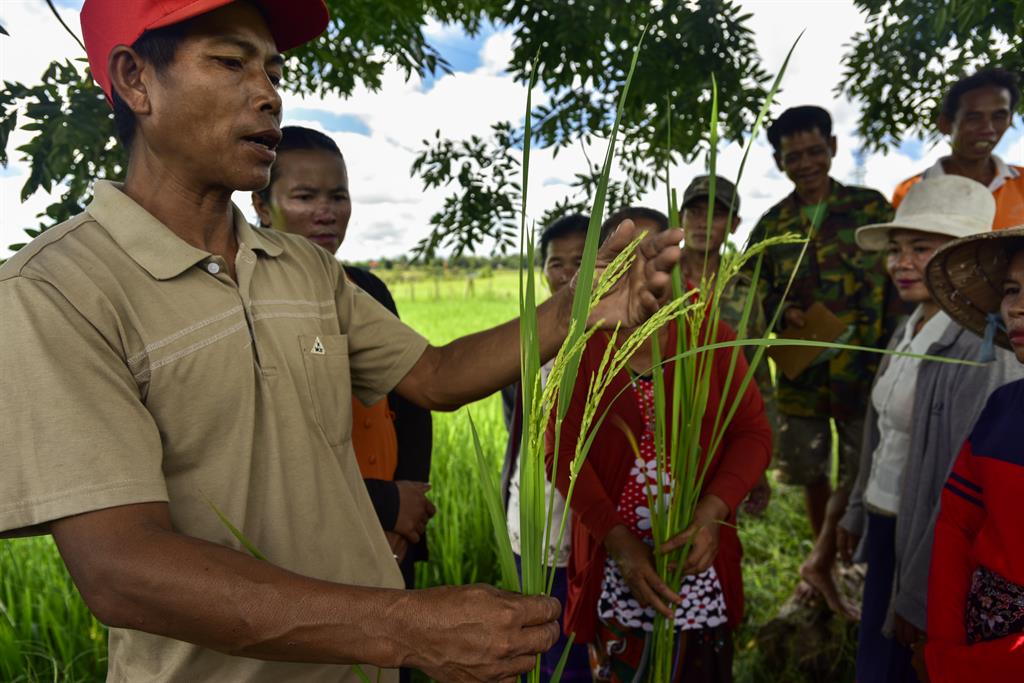 Share a seed Sacha de Boer in Laos