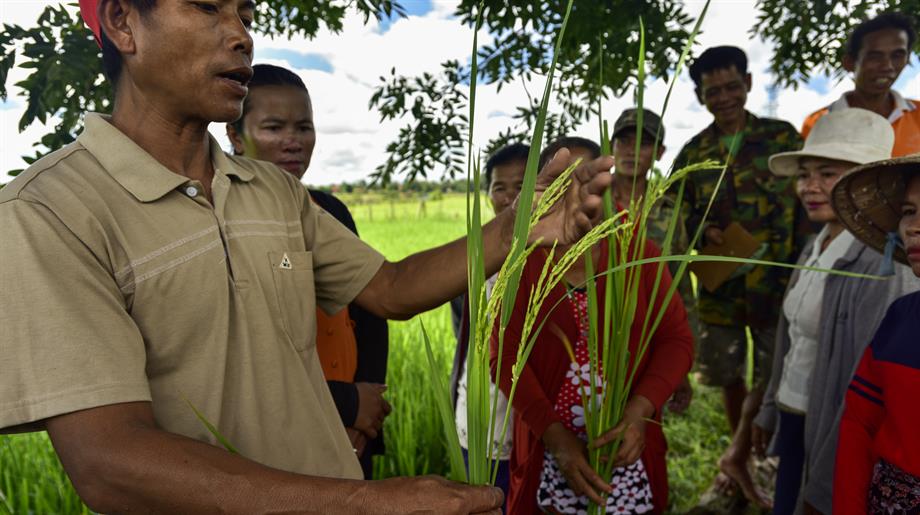 Farmer field school Laos